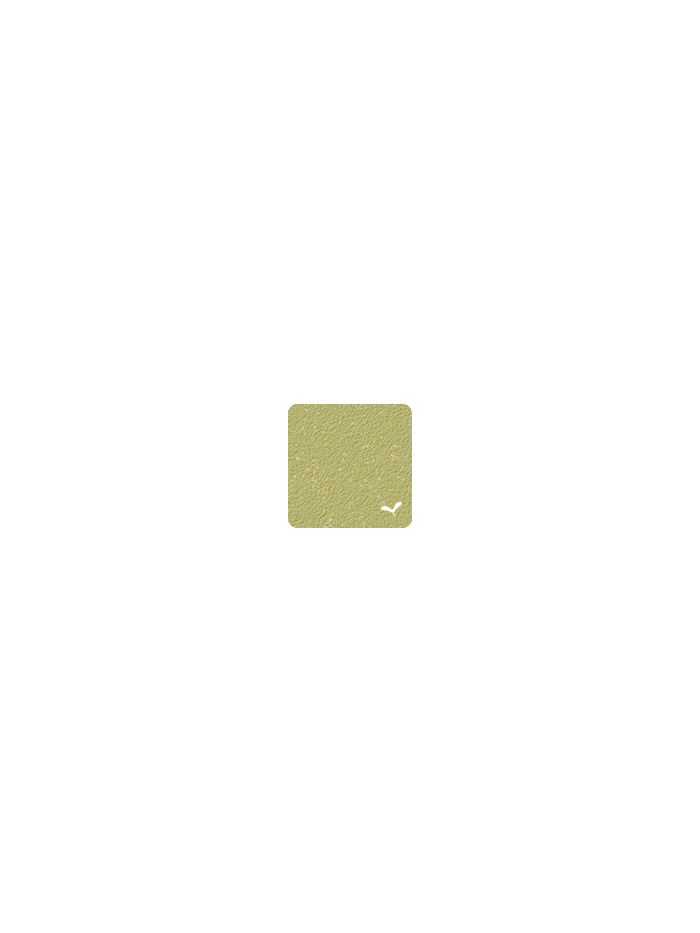 Klapptisch Bistro  97 x 57cm Lindgrün von Fermob
