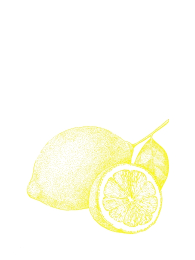 Geschirrtuch Zitrone von 17.30 Hamburg