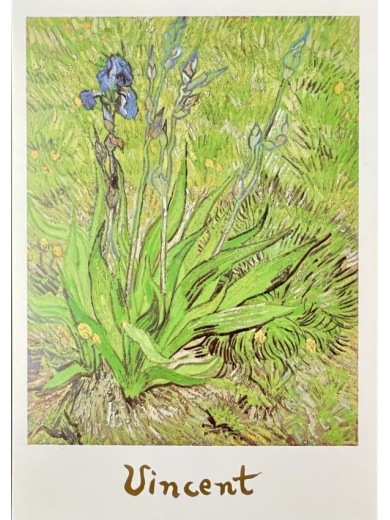 Vincent Van Gogh Kunstpostkarte