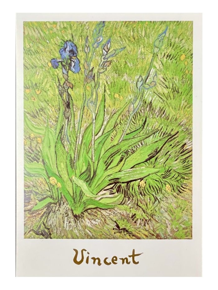 Vincent Van Gogh Kunstpostkarte