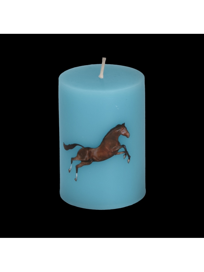 Grosse Kerze Horses von Toiletpaper